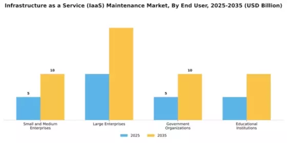 Infrastructure as a Service (IaaS) Maintenance Market Segment Image 2