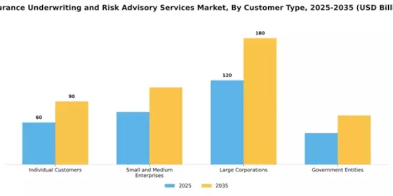 Insurance Underwriting and Risk Advisory Services Market Segment Image 1