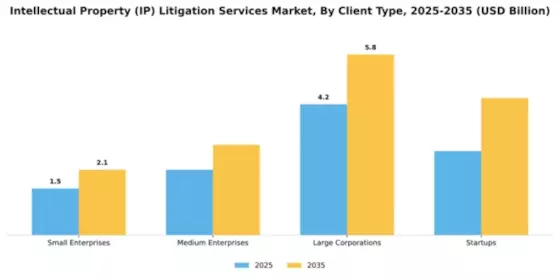 Intellectual Property (IP) Litigation Services Market Segment Image 1