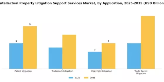 Intellectual Property Litigation Support Services Market Segment Image 0