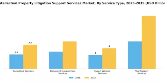 Intellectual Property Litigation Support Services Market Segment Image 3