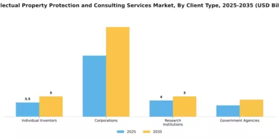 Intellectual Property Protection and Consulting Services Market Segment Image 1