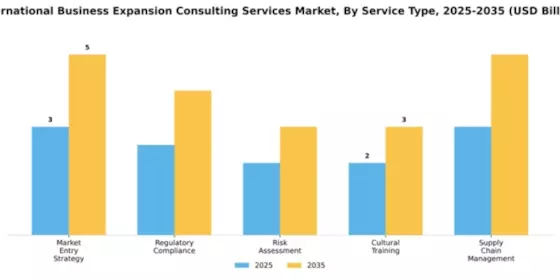 International Business Expansion Consulting Services Market Segment Image 3