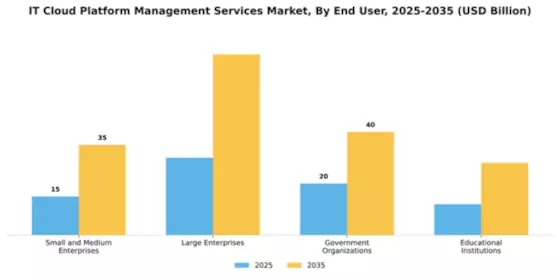 IT Cloud Platform Management Services Market Segment Image 1