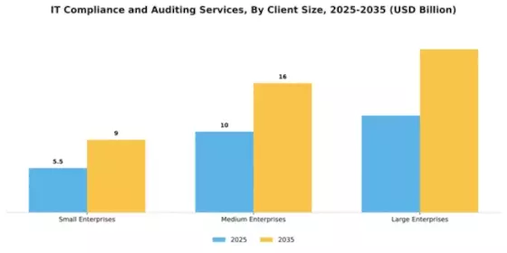 IT Compliance and Auditing Services Market Segment Image 0