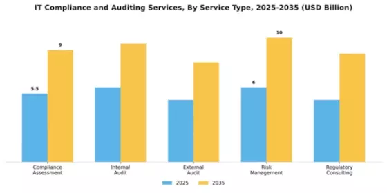 IT Compliance and Auditing Services Market Segment Image 4