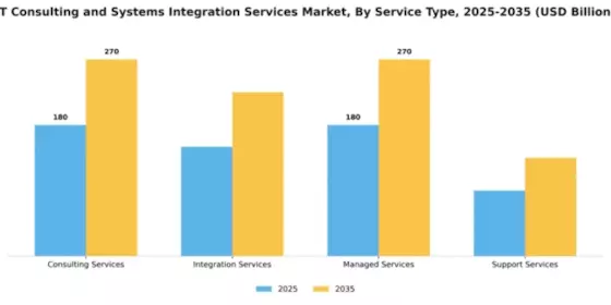IT Consulting and Systems Integration Services Market Segment Image 3