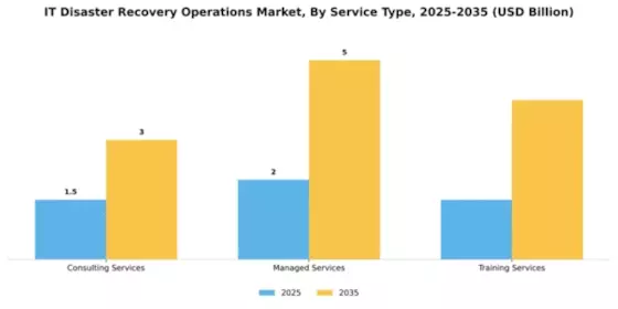 IT Disaster Recovery Operations Market Segment Image 3