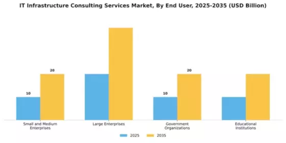 IT Infrastructure Consulting Services Market Segment Image 1