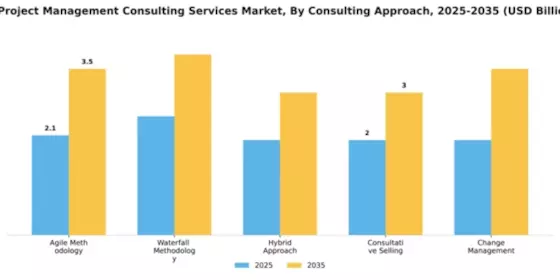 IT Project Management Consulting Services Market Segment Image 1