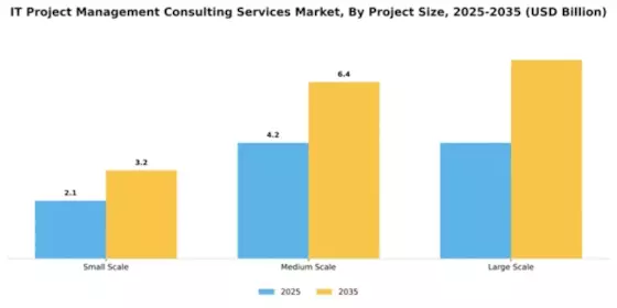 IT Project Management Consulting Services Market Segment Image 3