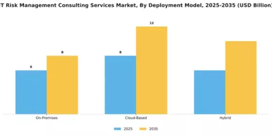 IT Risk Management Consulting Services Market Segment Image 2