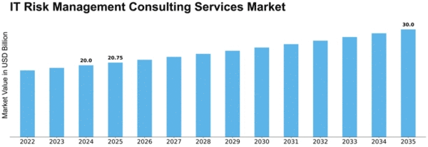IT Risk Management Consulting Services Market Size
