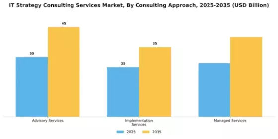 IT Strategy Consulting Services Market Segment Image 1