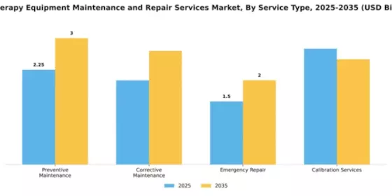IV Therapy Equipment Maintenance and Repair Services Market Segment Image 3