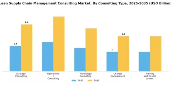Lean Supply Chain Management Consulting Market Segment Image 1