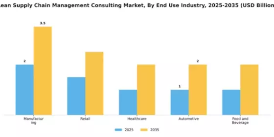 Lean Supply Chain Management Consulting Market Segment Image 2