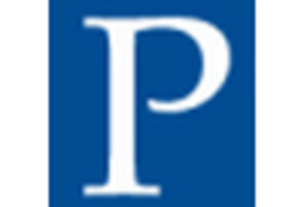 Perlite Market key player