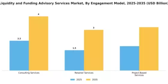 Liquidity and Funding Advisory Services Market Segment Image 1