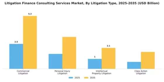 Litigation Finance Consulting Services Market Segment Image 2