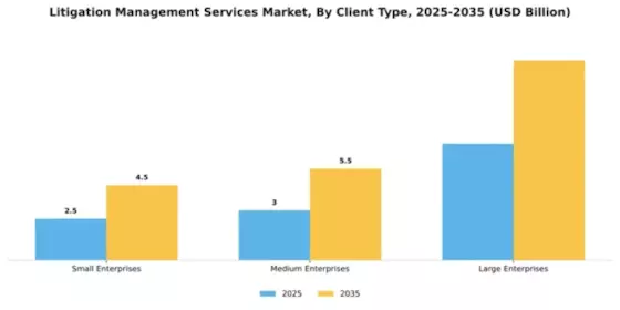 Litigation Management Services Market Segment Image 1