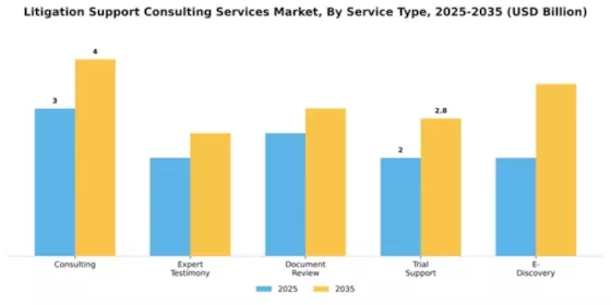 Litigation Support Consulting Services Market Segment Image 3