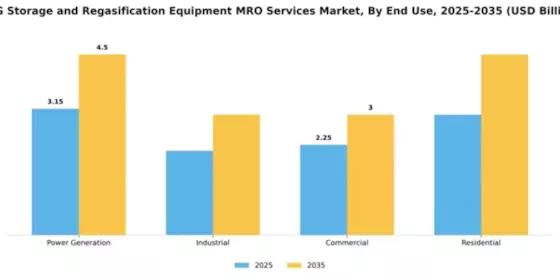 LNG Storage and Regasification Equipment MRO Services Market Segment Image 1