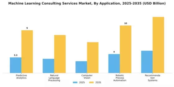 Machine Learning Consulting Services Market Segment Image 0