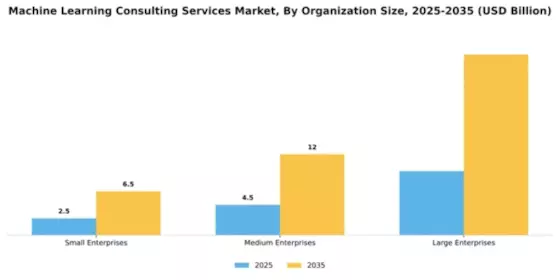 Machine Learning Consulting Services Market Segment Image 3