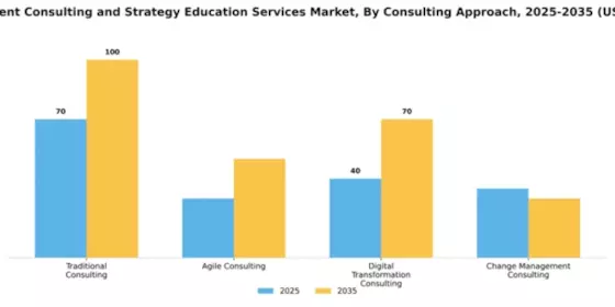 Management Consulting and Strategy Education Services Market Segment Image 1