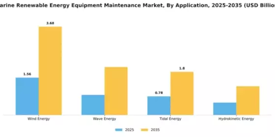 Marine Renewable Energy Equipment Maintenance Market Segment Image 0