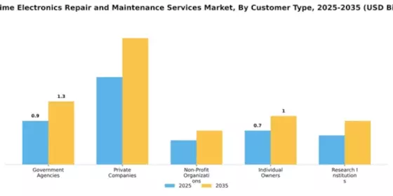 Maritime Electronics Repair and Maintenance Services Market Segment Image 1