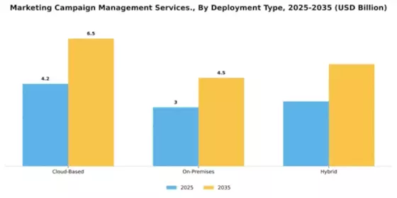 Marketing Campaign Management Services Market Segment Image 1