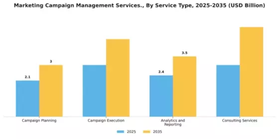 Marketing Campaign Management Services Market Segment Image 4