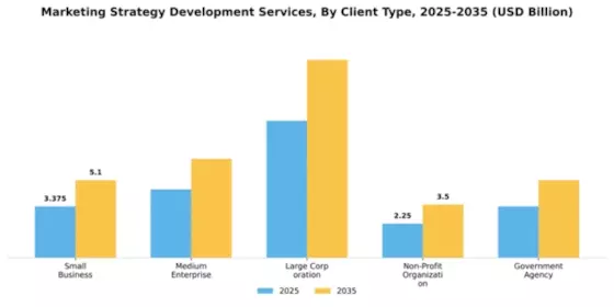 Marketing Strategy Development Services Market Segment Image 0