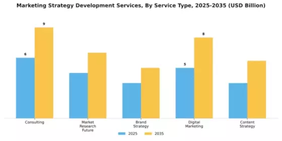 Marketing Strategy Development Services Market Segment Image 3