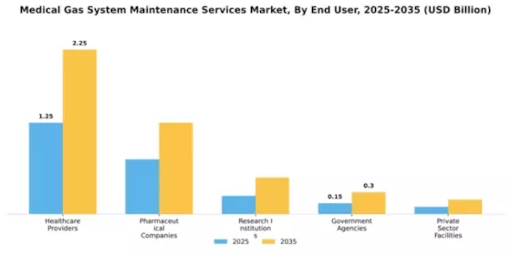 Medical Gas System Maintenance Services Market Segment Image 1