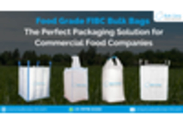 Bulk Bags Market key player