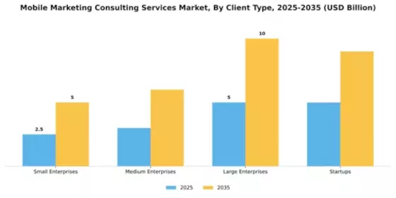 Mobile Marketing Consulting Services Market Segment Image 0