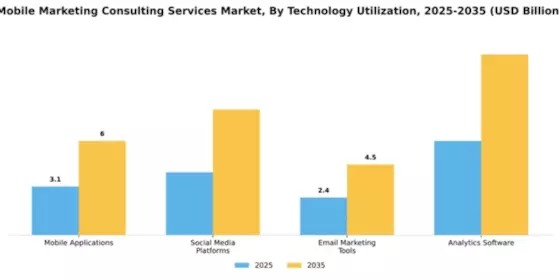 Mobile Marketing Consulting Services Market Segment Image 4