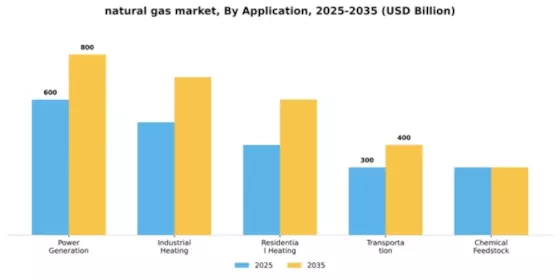 Natural Gas Market Segment Image 0