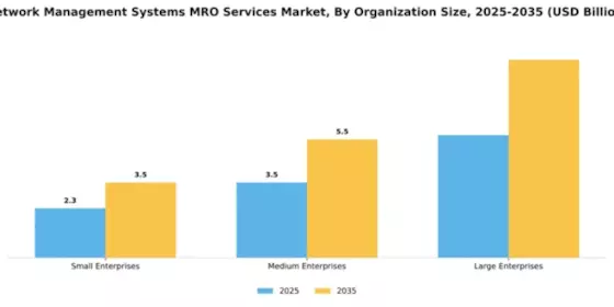 Network Management Systems MRO Services Market Segment Image 3