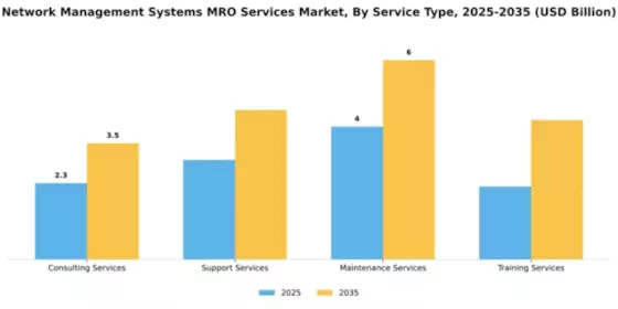 Network Management Systems MRO Services Market Segment Image 4