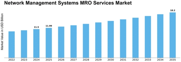 Network Management Systems MRO Services Market Size