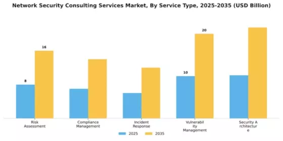 Network Security Consulting Services Market Segment Image 4