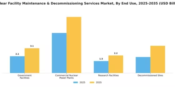 Nuclear Facility Maintenance & Decommissioning Services Market Segment Image 1