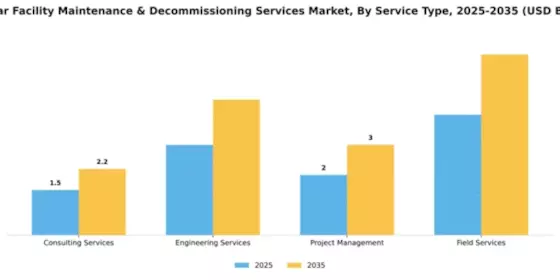 Nuclear Facility Maintenance & Decommissioning Services Market Segment Image 3