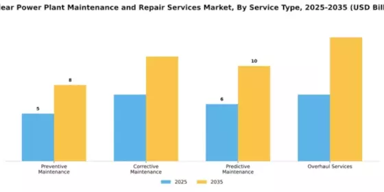 Nuclear Power Plant Maintenance and Repair Services Market Segment Image 3