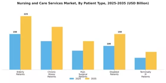 Nursing and Care Services Market Segment Image 0