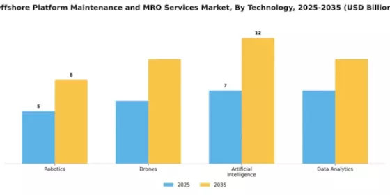 Offshore Platform Maintenance and MRO Services Market Segment Image 4